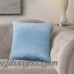 Gracie Oaks Pittenger Soft Luxury Velvet Throw Pillow GRCS1826